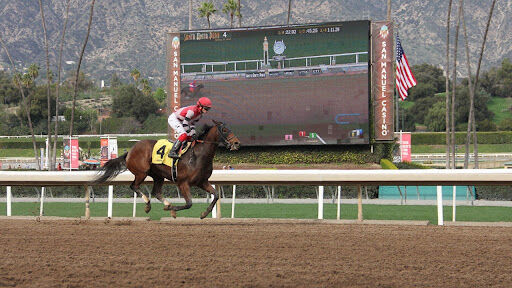 How-to-find-the-best-horse-racing-betting-sites